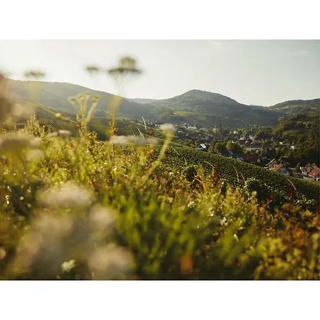 Oma Ludwin 1 Comfortable Holiday Prázdninový dům Sasbachwalden