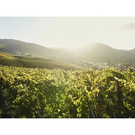 Prázdninový dům Oma Ludwin 1 Comfortable Holiday *