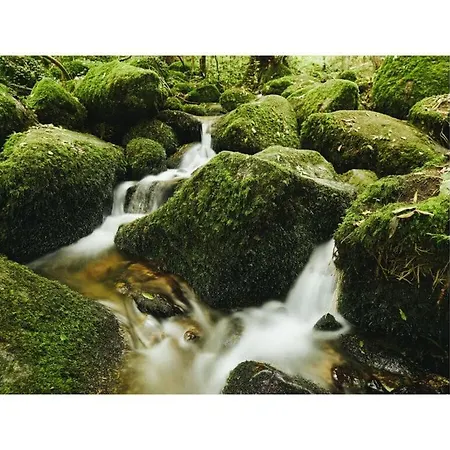 Prázdninový dům Oma Ludwin 1 Comfortable Holiday *