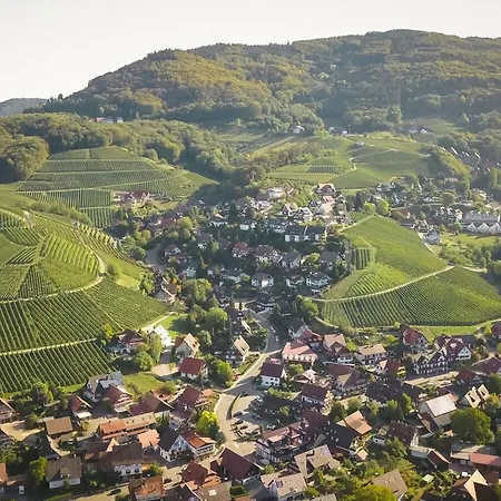 Oma Ludwin 1 Comfortable Holiday * Sasbachwalden